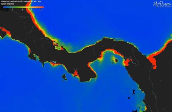 Concentraciones de clorofila extremadamente bajas en los océanos alrededor de Panamá (azul = bajo, rojo = alto) en febrero de 2025, revelando el fracaso del afloramiento de 2025 en el Golfo de Panamá, por primera vez en al menos 40 años.