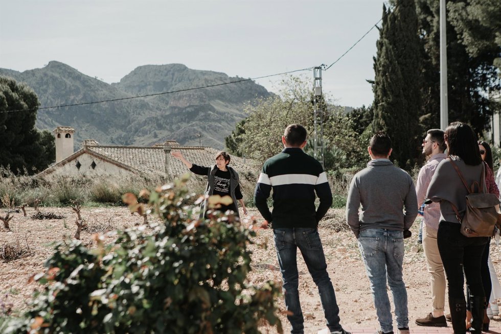 Archivo - Una de las actividades de 'Vendimia Abierta', organizada por Bodegas Luzón