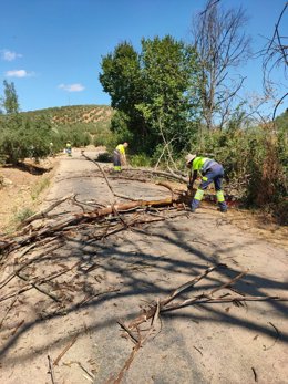 Obras de mantenimiento en la carretera JV-6022.