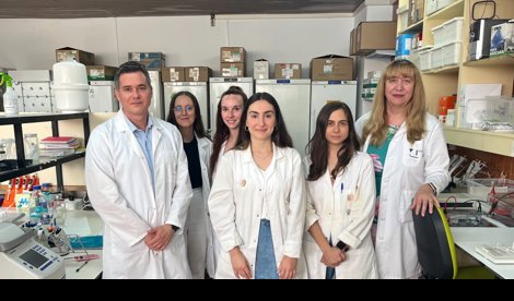 Es Andalucía - Málaga