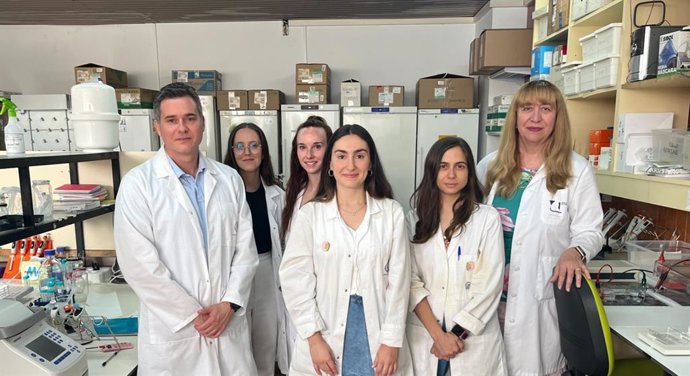 Expertos de Ibima Málaga descubren que proteínas humanas causa del alzheimer provocan daños más severos que las de ratón.