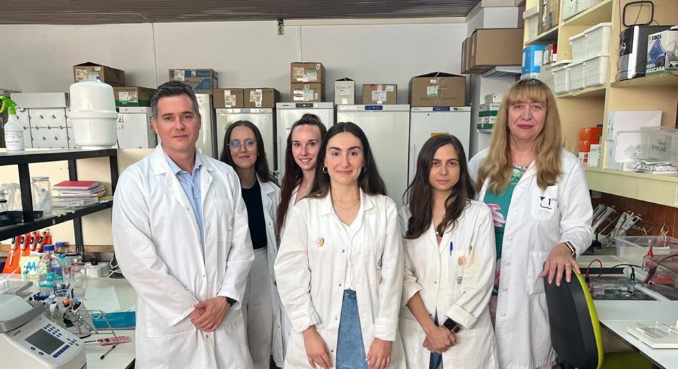 Expertos de Ibima Málaga descubren que proteínas humanas causa del alzheimer provocan daños más severos que las de ratón.