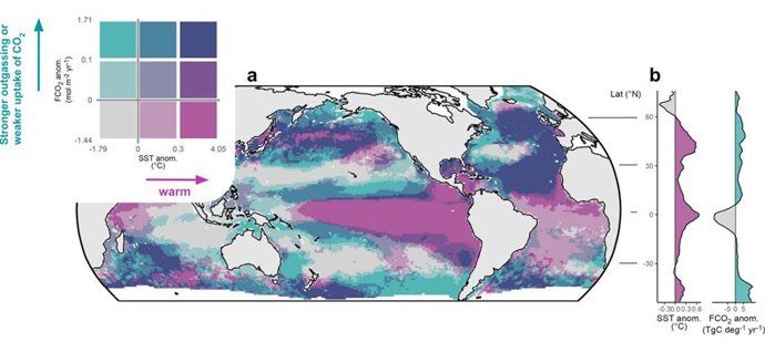 Mapa do oceano global (a) com fluxos de CO₂ e temperaturas da superfície do mar (SST) para o ano de 2023. (b) Latitudes com altas temperaturas (rosa) e fraca absorção de CO₂ devido à desgaseificação (turquesa).