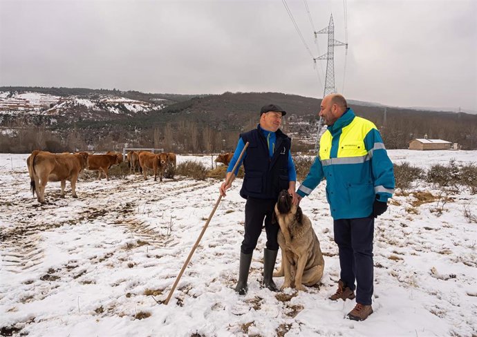 Archivo - La UICN selecciona 'Pastoreo en Red', iniciativa de Redeia, como "única solución basada en la naturaleza" de España