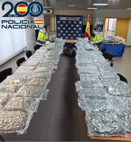 Intervienen más de 350 kilos de marihuana y desarticulan una red criminal asentada en Almassora