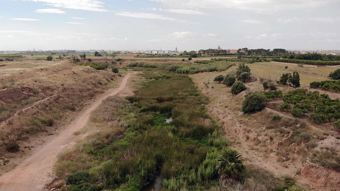 Archivo - Arxiu - Imatge d'arxiu del barranc del Carraixet.