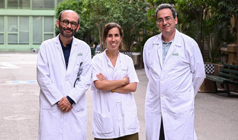 Investigación