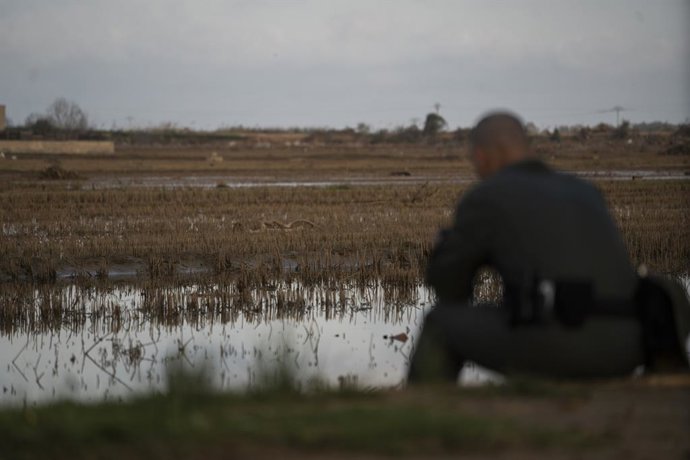 Archivo - Un agente controla un dron para la búsqueda de desaparecidos en La Albufera tras la dana. ARCHIVO. 