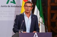 Andalucía presenta una batería de propuestas al futuro paquete europeo de redes eléctricas