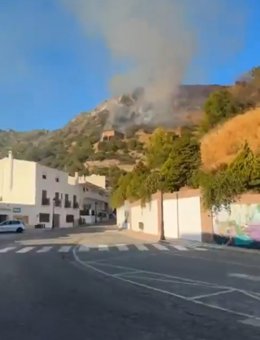 Imagen del incendio declarado en Casares (Málaga).
