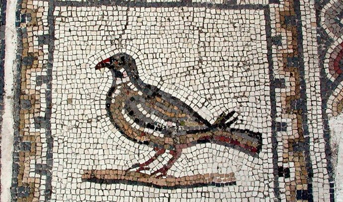 Imagen de una perdiz