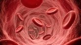 Foto: El bypass 'sin tocar' reduce infartos y alarga la vida de los injertos coronarios