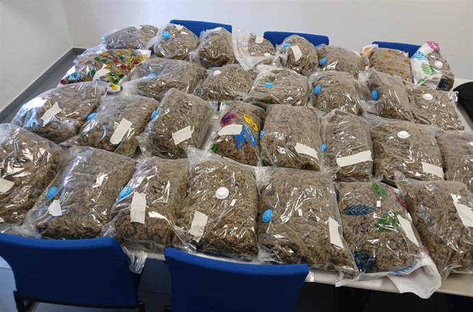 Imagen de los 35 kilos de marihuana interceptados por los Mossos d'Esquadra en Berga (Barcelona).