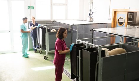 Es Andalucía - Granada