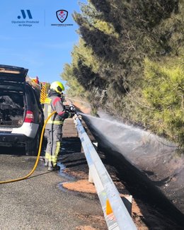El vehículo que se incendió en la autovía originó un incendio forestal en una zona de monte bajo y cipreses que, gracias a la rápida actuación de los bomberos del Consorcio provincial de la Diputación, no llegó a extenderse demasiado.