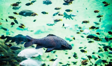 Es Andalucía - Granada