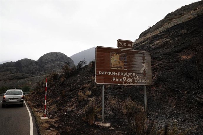 Campo quemado por el incendio en el entorno de la vertirnte leonesa de los Picos de Europa.