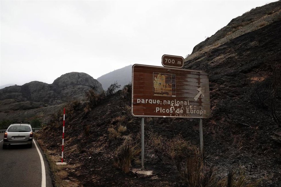 Campo quemado por el incendio en el entorno de la vertirnte leonesa de los Picos de Europa.