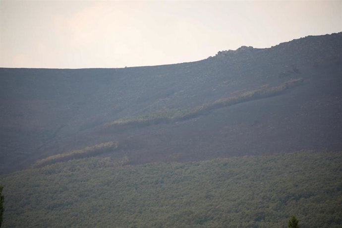 Vista del bosque calcinado, a 22 de agosto de 2025, en Vigo de Sanabria, Zamora, Castilla y León (España). 