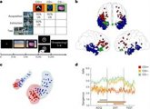 Foto: Científicos españoles describen las señales cerebrales asociadas al olvido de recuerdos desagradables
