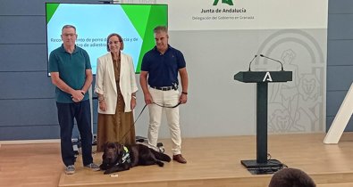 Es Andalucía - Granada