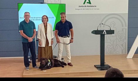 Es Andalucía - Granada