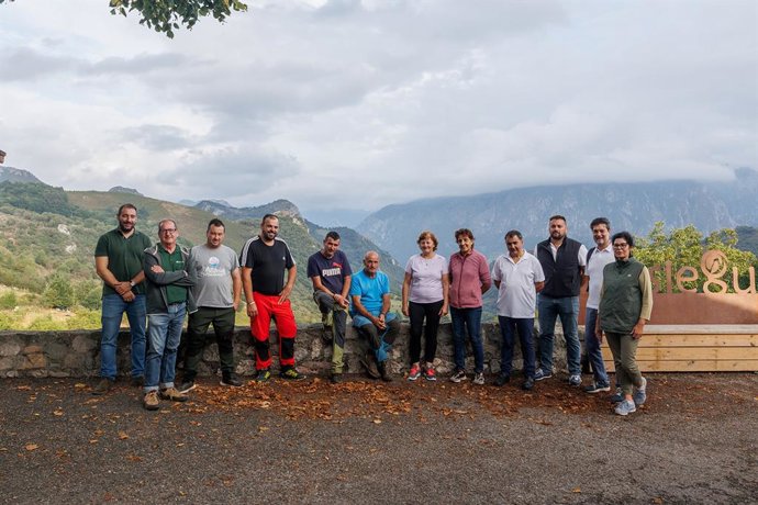 Casi 800 cabezas de ganado controlarán la vegetación bajo los tendidos de Red Eléctrica en Asturias
