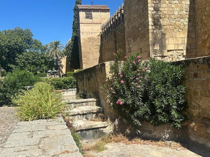 Entorno de la Puerta de Almodóvar.