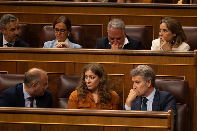 Archivo - El secretario general del PP, Miguel Tellado; La portavoz en el Congreso, Ester Muñoz y el presidente del partido,Alberto Núñez Feijóo, durante una sesión plenaria 