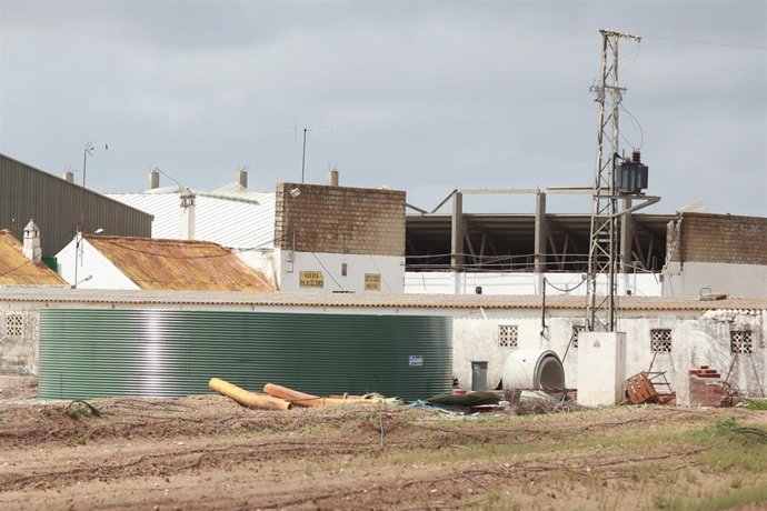 Archivo - Restos De La Nave Esparcidos Por Los Alrededores En El Derrumbe De Una Nave Agrícola En La Cual Tres Trabajadores Han Perdido La Vida, A 4 De Abril De 2025 En Sevilla (Andalucía, España). Imagen De Archivo.