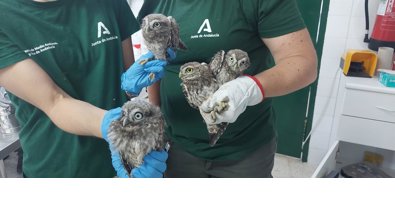 Es Andalucía - Jaén