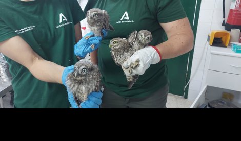 Es Andalucía - Jaén