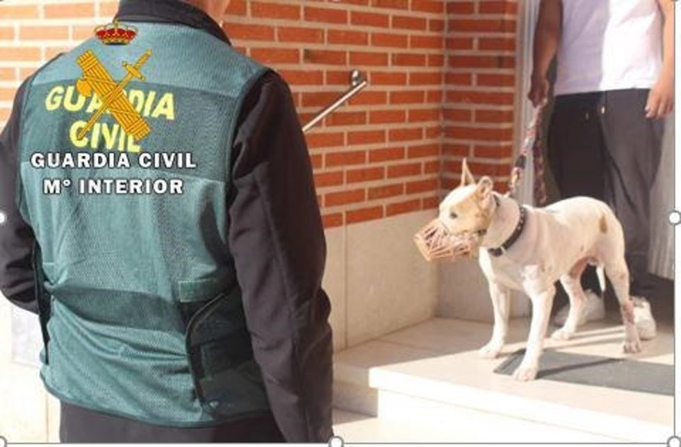 Perro potencialmente peligroso que mordió mató a otro en Alaejos (Valladolid).