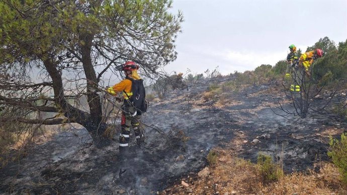 Archivo - Incendio El Sabinar