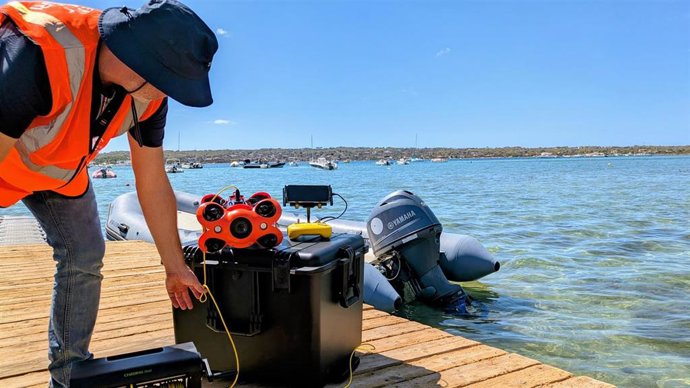Vigilancia en s'Estany des Peix, Formentera