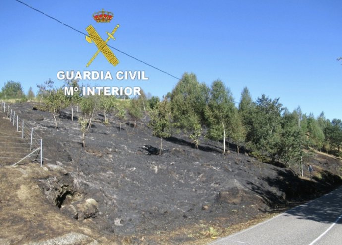 Zona quemada por el fuego