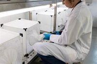 La Junta declara área en alerta a la ciudad de Huelva tras detectar mosquitos con virus del Nilo