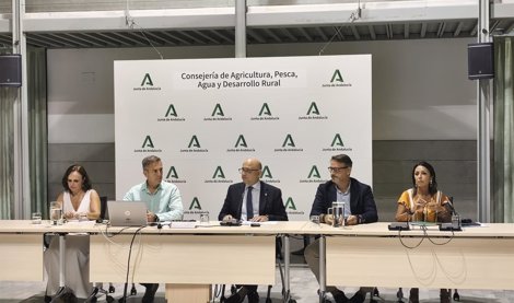Es Andalucía - Sevilla