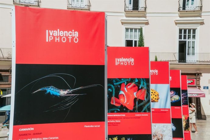 La fotografía submarina de Enrique Talledo llega a ValenciaPhoto con la exposición 'Criaturas del Océano'