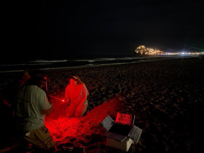 Detectado un nido de tortuga marina en Peñíscola