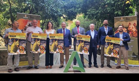 Es Andalucía - Sevilla