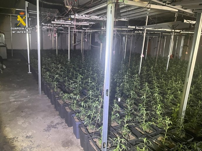 Vídeo de la noticia