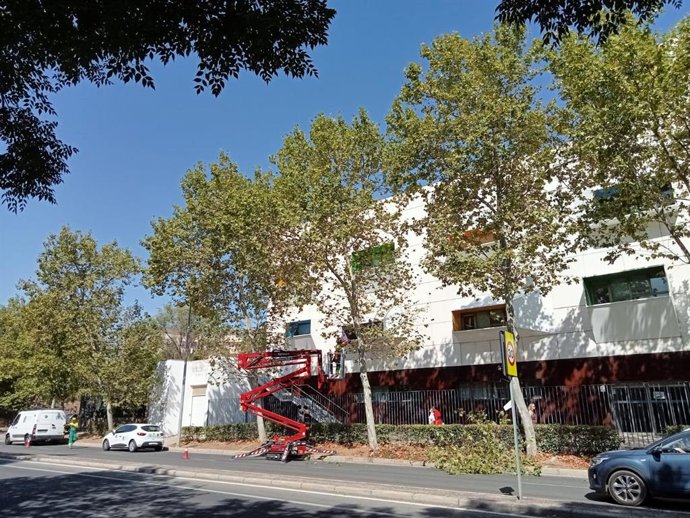 Comienza la poda de árboles en la avenida de la Hispanidad de Cáceres para mejorar la visibilidad en la vía