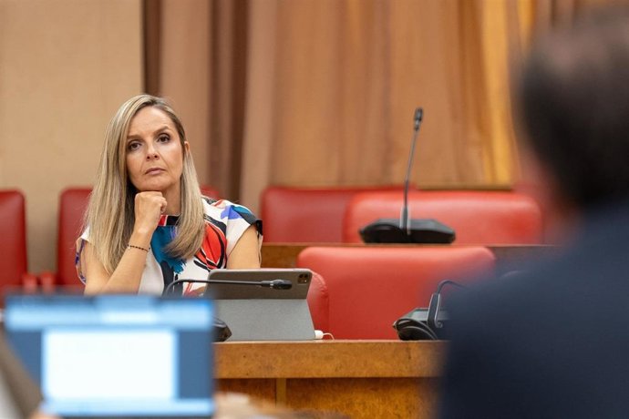 La diputada nacional del PP por Almería y portavoz adjunta de Inmigración en el Congreso, Maribel Sánchez Torregrosa, durante una sesión en el Congreso.