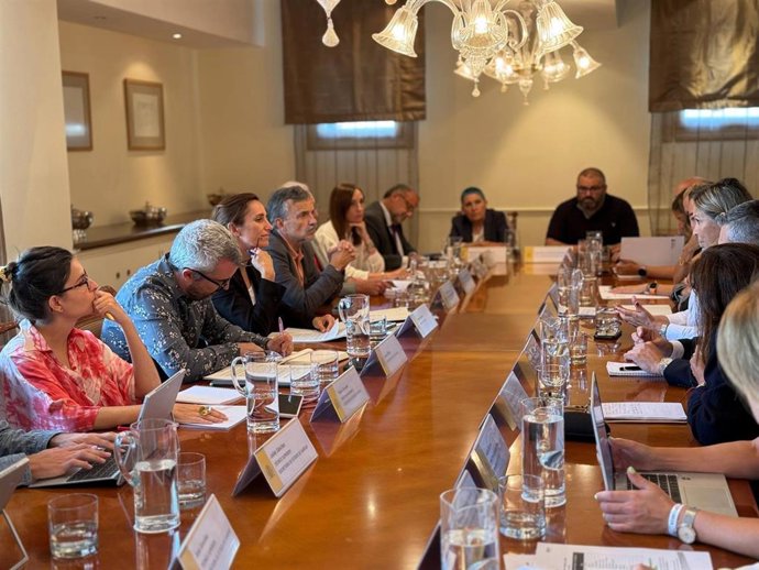 Imagen de la reunión entre el Ministerio de Sanidad y las asociaciones de pacientes.