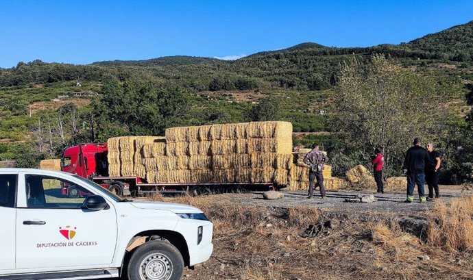 La Diputación de Cáceres continúa el reparto de pacas de paja para los ganaderos y ganaderas de los municipios afectados por los incendios