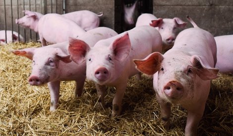 Economía Finanzas
