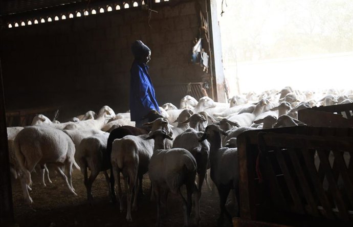 Mamadou Hamet, un trabajador formado en la Escuela de Pastores.