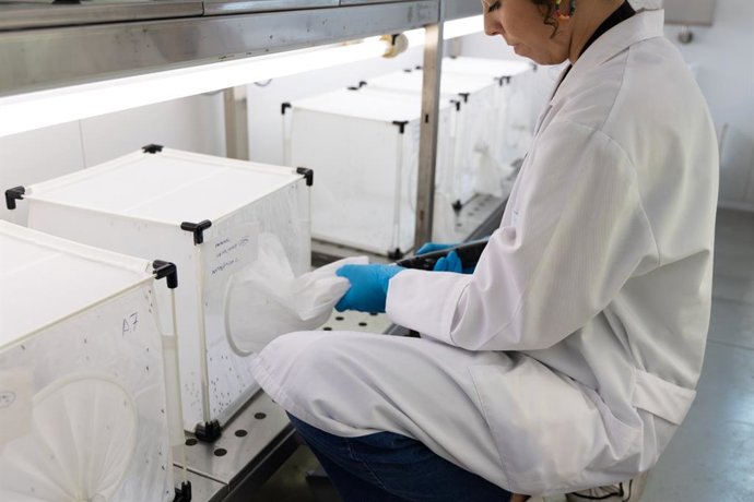 Imagen de cientificos con muestras del virus del Nilo.