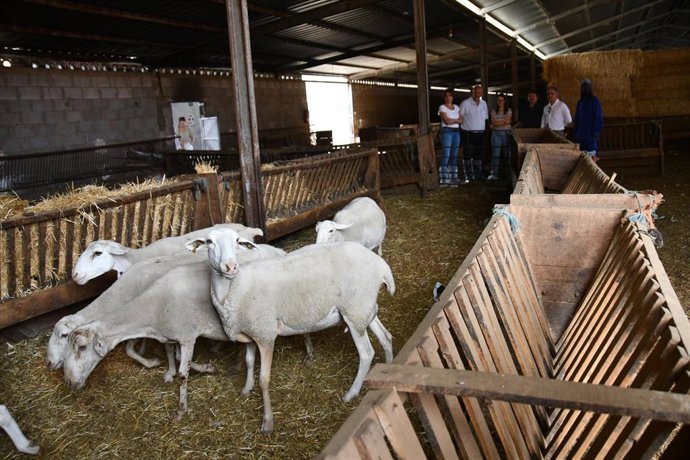 El vicepresidente primero, José Luis Martínez Guijarro.